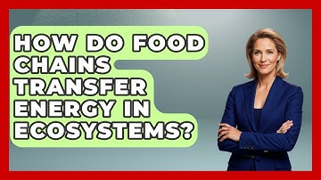 How Do Food Chains Transfer Energy in Ecosystems? | Explaining Ecology News
