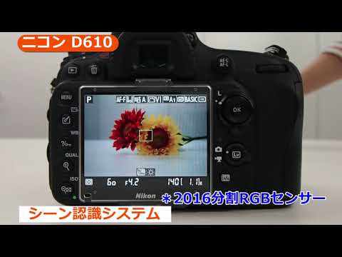 ニコン D610(カメラのキタムラ動画_Nikon)