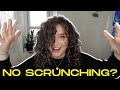 DEFINED CURLS WITH NO SCRUNCHING?!? | No Scrunch Challenge