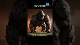 Gezegenler Ve Yerçekimi