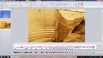 Caliper Tool & Edge Detection Video Tutorial   Image Pro Premier