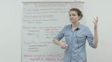 Genetic Drift Gene Flow