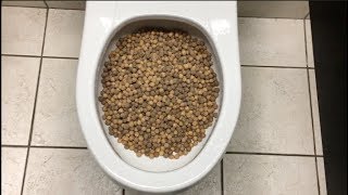 Will it Flush? October/November Week 1 Compilation