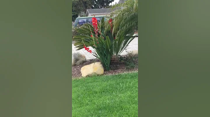 Green grass and beautiful red flowers! - DayDayNews