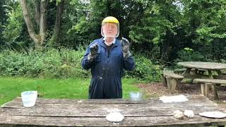 Lime Slaking