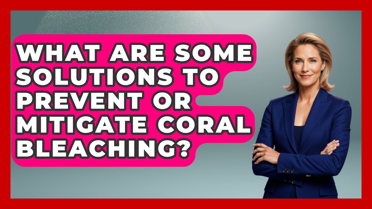 What Are Some Solutions to Prevent or Mitigate Coral Bleaching? | The Marine Life Explorer