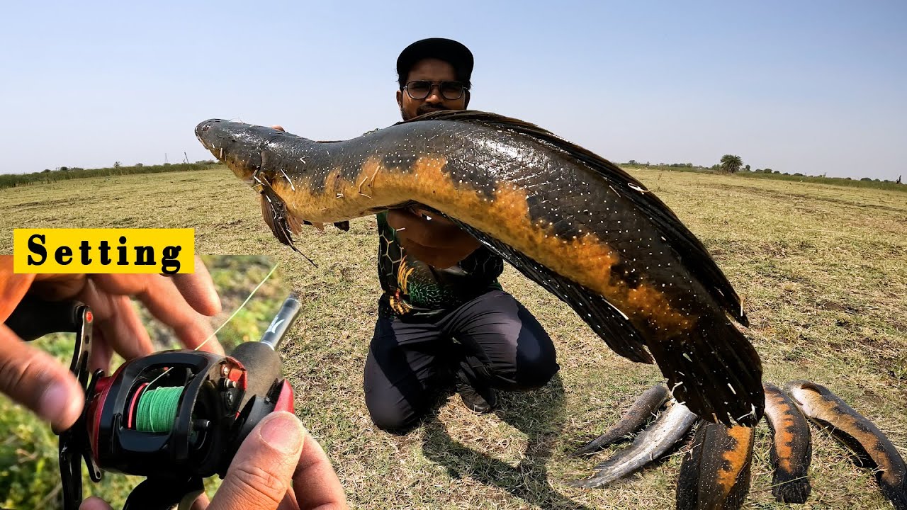 How to set Baitcasting Reel for beginners || Snakehead fishing new video