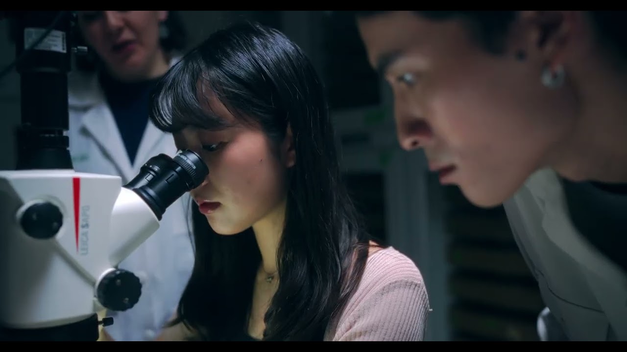 高雄醫學大學《2026 高雄醫學大學簡介》學校簡介影片|錄人影像 Pezós