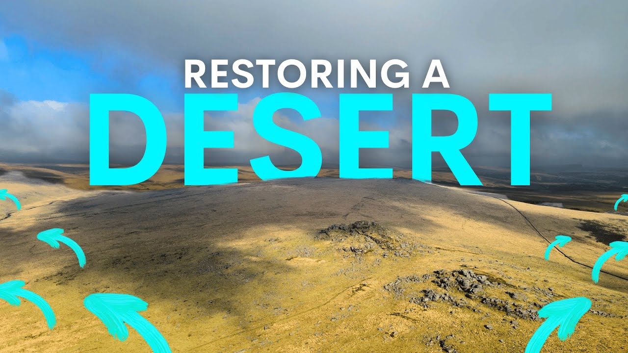 England's Green Desert is Getting Bigger - here's why