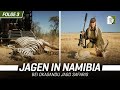 Jagd auf Springbock und Zebra in Namibia - Okasandu Jagd Safaris Folge 3 | 4K