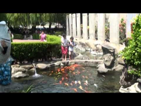 影片歌曲  南國的花姑娘 4分