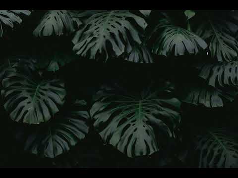 b4risd - moonlight xxx (ultra slowed reverb)