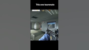 This one teammate  #csgo  #wtfcsgo #counterstrike #csgomemes #funny #cs
