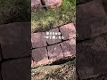 【庭DIY】これ簡単にできちゃうよ。石と好きな植物で素敵な小道ができちゃう。みんなもぜひやってみてね! #ガーデン #庭diy #エクステリア