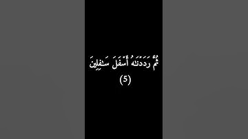 كروما سوداء سورة التين #فارس_عباد