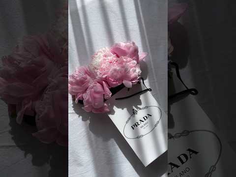 Самые красивые эстетичные