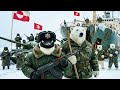 Democratic Penguins Republic Greenland Official Music Video