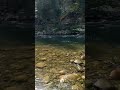 река Бирюкса Алтай#mountainriver #altai