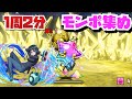 【モンポ集め】ゴールドたまドラの宝窟シズク周回編成!!【#パズドラ】【#ゴールドたまドラの宝窟】