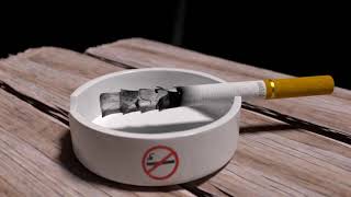 dynamic paint blender screenshot 4