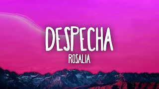 Video thumbnail of "ROSALÍA - DESPECHÁ"