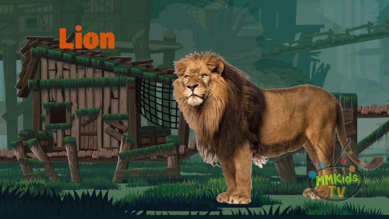 Learn Wild Animal Sounds and Names For Children, Kids And Toddlers