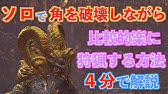 コメに修正 Mrマムタロトに破壊王はいらない パージの条件は部位破壊では無い mhwibモンハンワールドアイスボーン Youtube コメに修正 Mrマムタロトに破壊王はいらない パージの条件は部位破壊では無い mhwibモンハンワールドアイスボーン Youtube