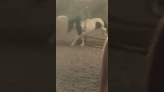 Jumping Bubbles