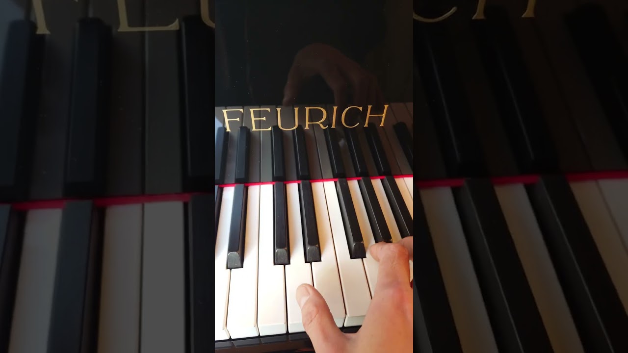 白川調律所さんにスタンウェイ買いにきました2