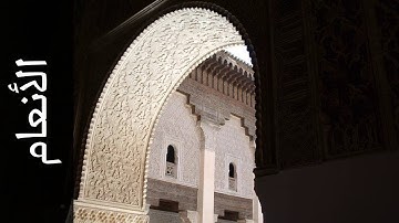 سورة الأنعام الزين محمد أحمد   Surah Al An aam Alzain Mohammad Ahmad