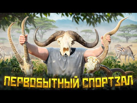 Как организовать качалку в Африке из ничего?