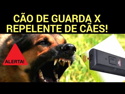 Vídeo: Como Escolher Um Repelente Ultrassônico Para Cães