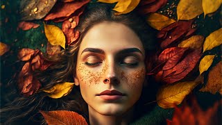 Golden Autumn Serenity 🍁 3 Hours of Peaceful Piano & Forest Sounds screenshot 1