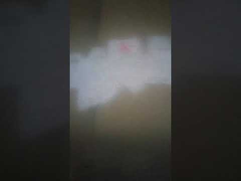 Paper of war 1 A oof idiots (season 6 Paper of war 1 A oof idiots (season 6