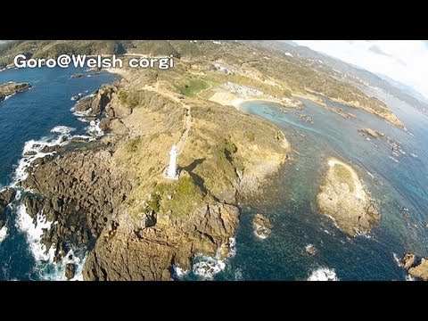 爪木崎公園 / Tsumekizaki park [Aerial Version] Goro@Welsh corgi  コーギー 水仙まつり 空撮