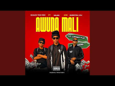 Awuna mali (feat. Miles, Emsotra ICU & Dsmall)