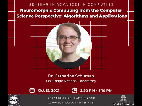 Neuromorphic Computing from the Computer Science Perspective: Algorithms and Applications