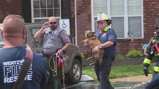 Pets rescued, no injuries following fire at O'Fallon, Missouri apartment complex