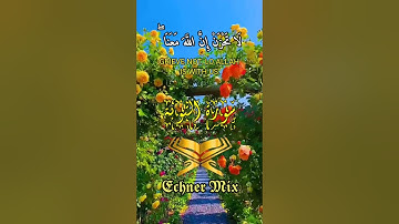 حالات واتس - سورة التوبة الاية (40) القارئ | عبدالرحمن مسعد