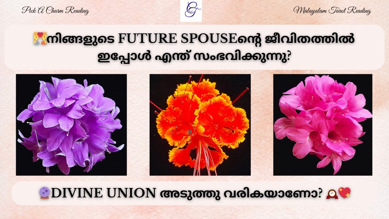 💑നിങ്ങളുടെ Future Spouseന്റെ ജീവിതത്തിൽ ഇപ്പോൾ എന്ത് സംഭവിക്കുന്നു? | #malayalamtarot #futurespouse