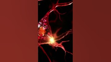 Computational Intelligence — Inspired by Your Immune System! 🧠🦠 #ai