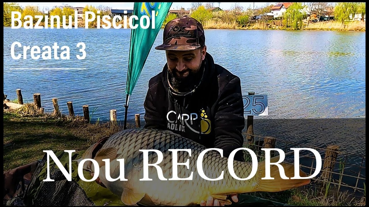 Crapi RECORD | Bazinul Piscicol Creata 3
