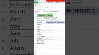 eomonth function #excel #spreadsheetmagic #exceltips #exceltricks #exceltutorial #spreadsheet