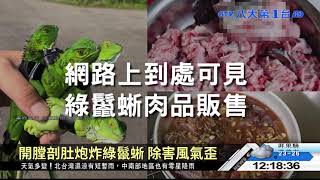▼移除外來物種 應人道立法禁虐殺 八大民生新聞 2021030304