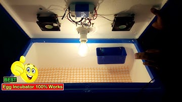 Egg Incubator REVIEW | BEST Semi Automatic Incubator For Chicken Eggs (FOR SALE)
