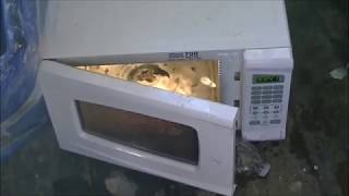 Microwaving The Works Toilet Bowl Cleaner - MASSIVE EXPLOSION In Slow Motion