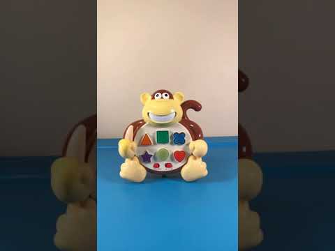 Learning journey bilingual monkey