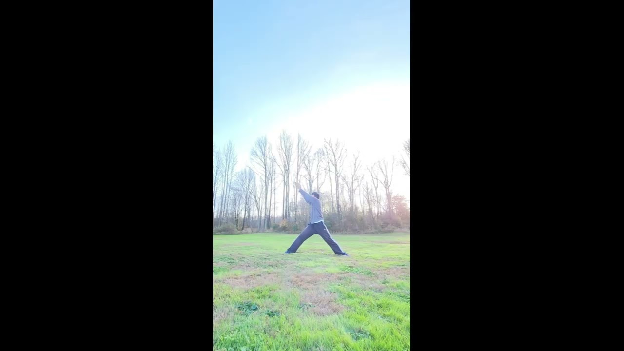 Butterfly Kick Compilation Progression