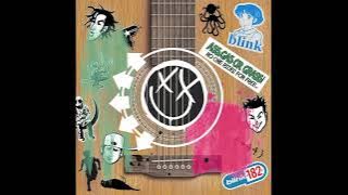 BLINK 182 ACOUSTIC FULL ALBUM