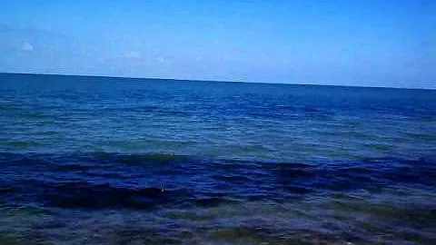 March 23, 2011 10:06 AM